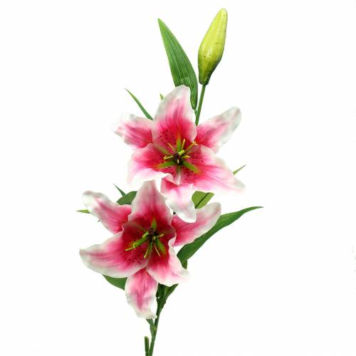 Floristik24 Lírio Oriental &quot;Stargazer&quot; Branco, Rosa 86cm