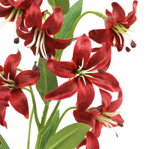 Floristik24 Vermelho lírio 82 cm