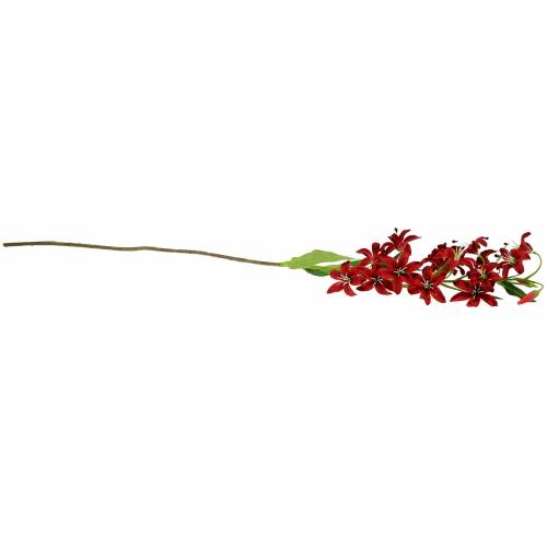 Floristik24 Vermelho lírio 82 cm