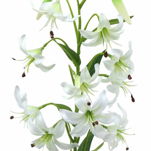 Floristik24 Branco lírio 82cm