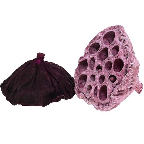 Itens Lotus Mix Rosa, Erika Ø6cm - Ø10cm 50 un