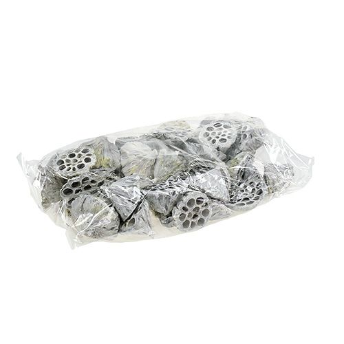 Itens Lotus Natural Deco Lotus Bulbo Branco Lavado 6-8cm 50 un