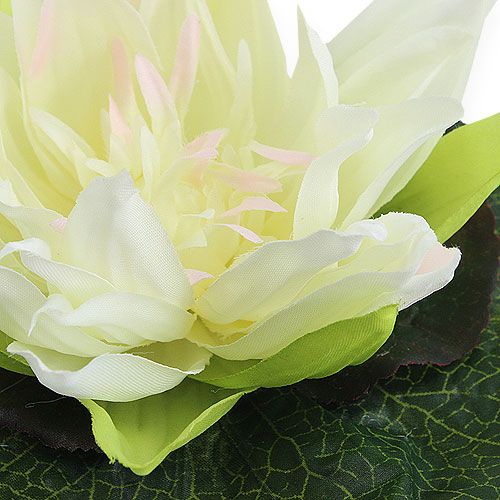 Floristik24 Flor de lótus flutuante 18 cm branca 3 unidades