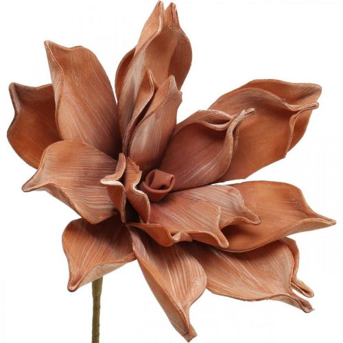 Itens Flor de Lótus Planta Artificial Flor de Lótus Artificial Marrom L64cm