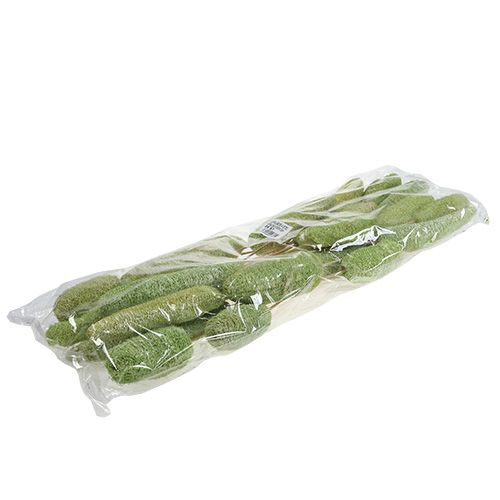 Itens Luffa grande em palito verde 25 unidades