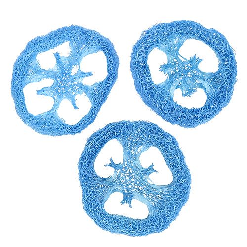 Luffa fatias céu azul 25 unidades