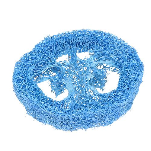 Luffa fatias céu azul 25 unidades