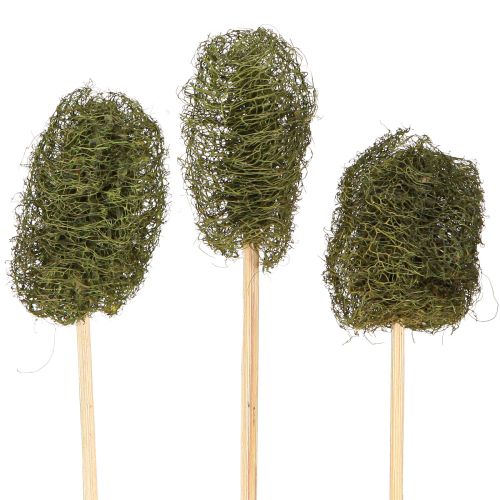Floristik24 Luffa pequena em palito esponja pepino verde escuro 5-7cm 25 unidades
