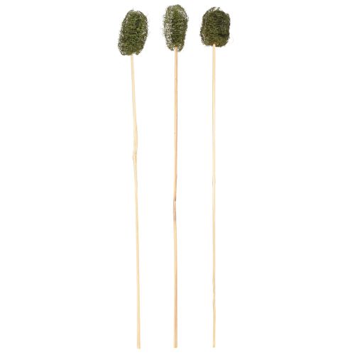 Floristik24 Luffa pequena em palito esponja pepino verde escuro 5-7cm 25 unidades