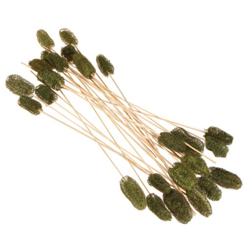 Itens Luffa pequena em palito esponja pepino verde escuro 5-7cm 25 unidades