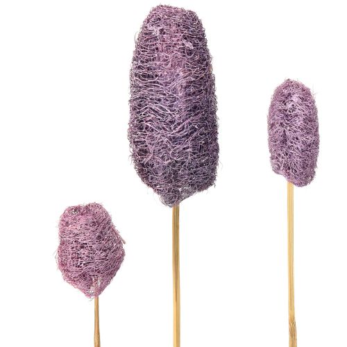 Luffa em um caule pequena baga decorativa seca 5-12 cm 25 unidades
