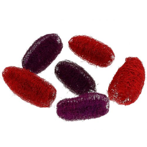 Floristik24 Violeta sortida Luffa, vinho tinto 9cm - 12cm 50pcs