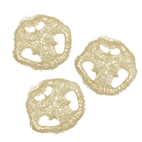 Floristik24 Discos Luffa branqueados Ø5cm 48 un