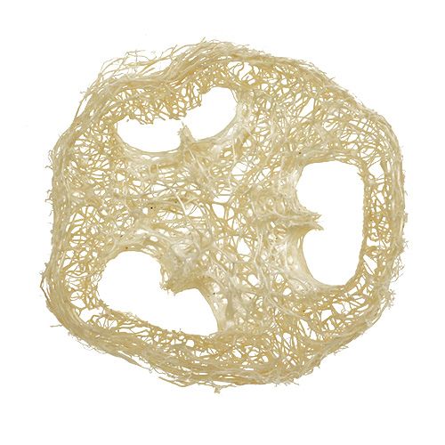 Floristik24 Discos Luffa branqueados Ø5cm 48 un