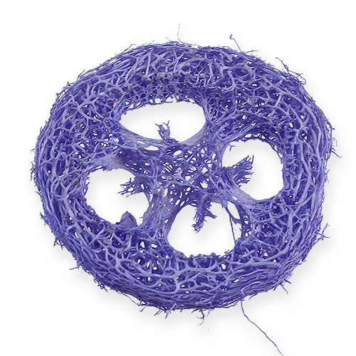 Floristik24 Discos Luffa roxo claro 25 unidades