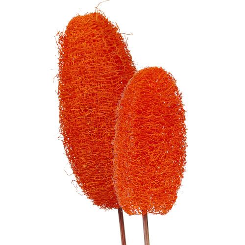 Luffa grande em palito laranja 25 unidades