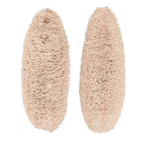 Itens Luffa grande branqueada 20 unid.