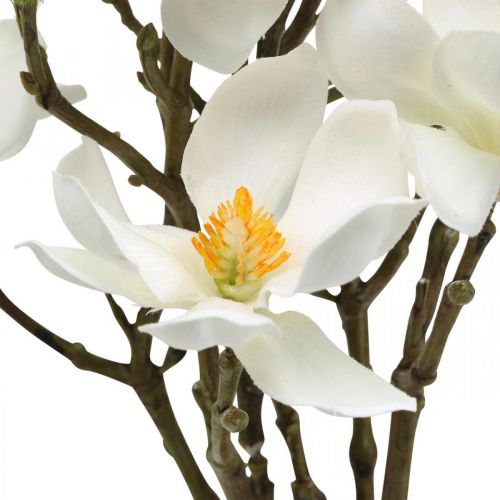 Floristik24 Ramos de magnólia artificial ramo de deco branco H40cm 4 peças em bando