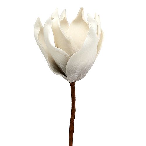 Floristik24 Flor de magnólia feita de espuma cinza, branco Ø10cm L26cm 4pcs
