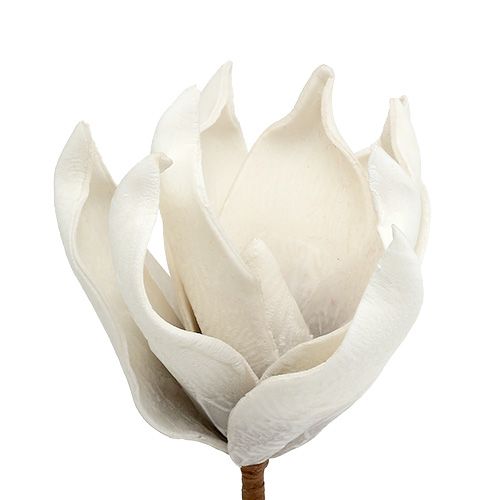 Floristik24 Flor de magnólia feita de espuma cinza, branco Ø10cm L26cm 4pcs