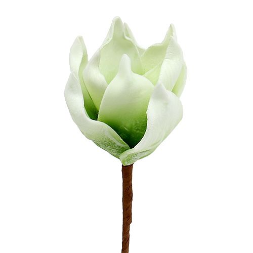 Floristik24 Flor de magnólia feita de espuma branco-verde Ø10cm C26cm 4pcs