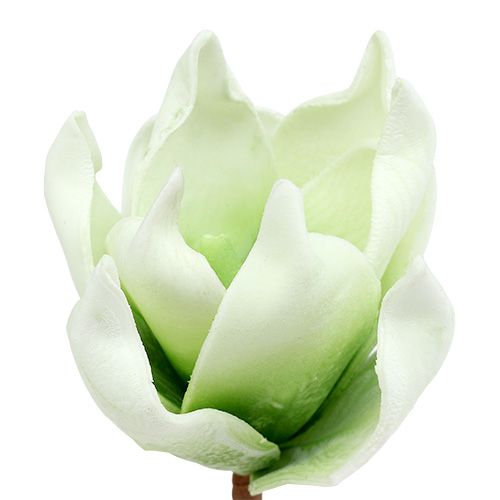 Floristik24 Flor de magnólia feita de espuma branco-verde Ø10cm C26cm 4pcs