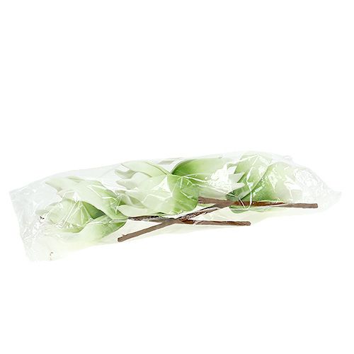 Floristik24 Flor de magnólia feita de espuma branco-verde Ø10cm C26cm 4pcs