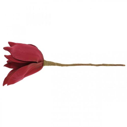 Floristik24 Magnólia Artificial Flor Artificial Vermelha Decoração de Flores em Espuma Ø10cm 6pcs