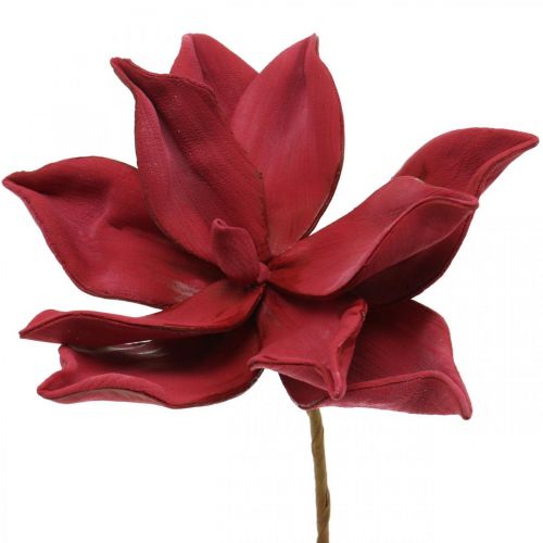 Floristik24 Magnólia Artificial Flor Artificial Vermelha Decoração de Flores em Espuma Ø10cm 6pcs