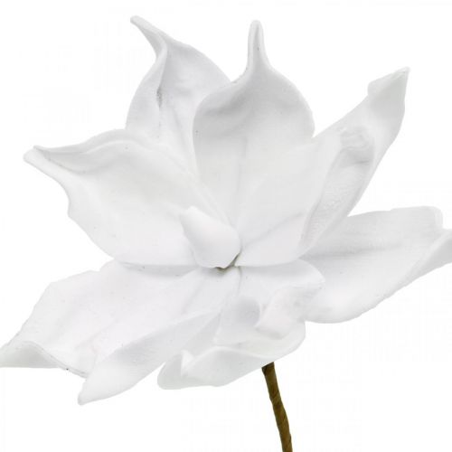 Floristik24 Flor artificial branca magnólia artificial em uma vara Ø10cm Espuma 6pcs