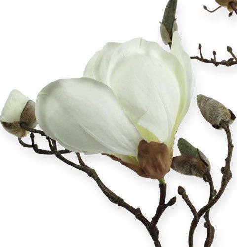 Floristik24 Ramo de magnólia branco 110 cm