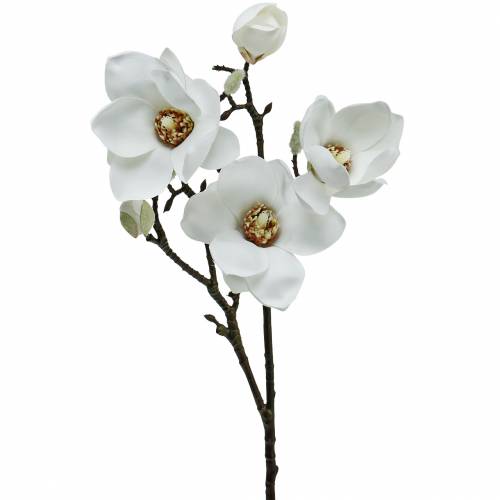 Floristik24 Ramo de magnólia branco Ramo decorativo flor artificial de magnólia