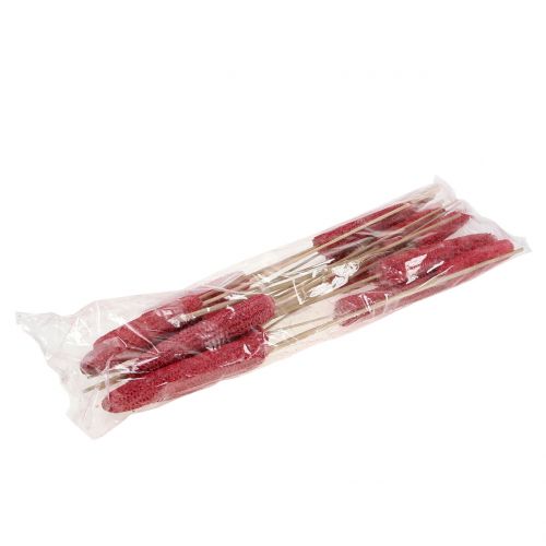 Itens Espigas de milho em palito vermelho, lavadas de branco 20 unidades