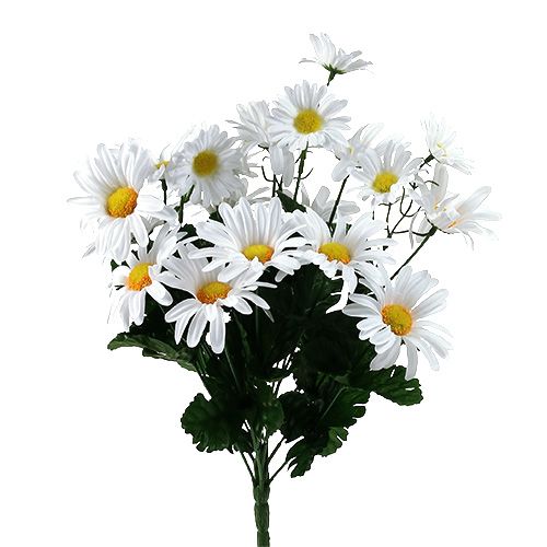 Floristik24 Buquê de margaridas branco 45cm