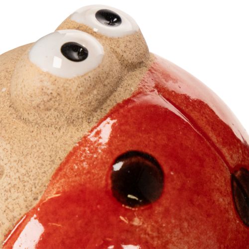 Itens Estacas de jardim em formato de joaninha, enfeite decorativo para jardim, 25 cm, 4 peças