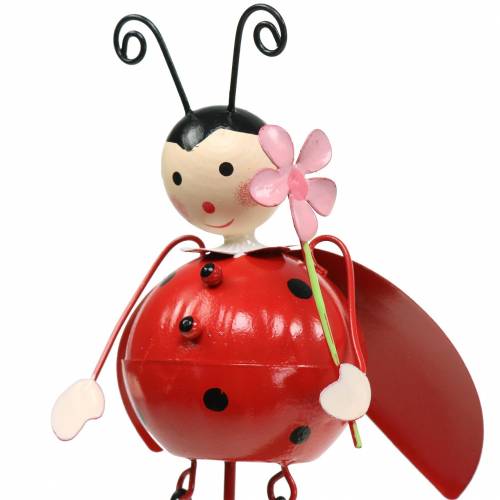 Floristik24 Deco plug joaninha metal H35cm 3pcs