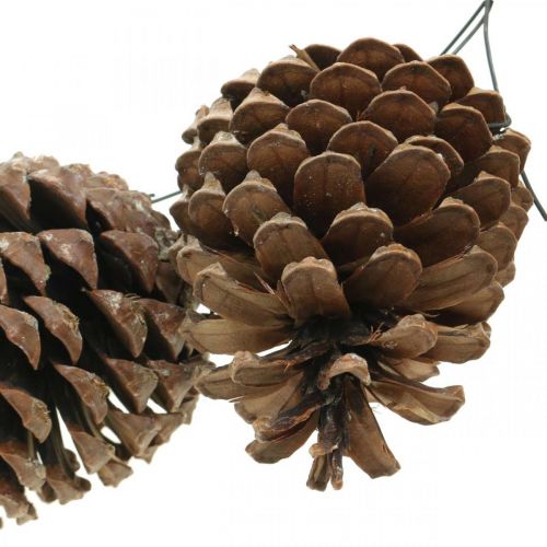 Itens Cones marítimos com arame, comemorações, decoração natalícia, produto natural A8–13cm Ø6–9cm 50p