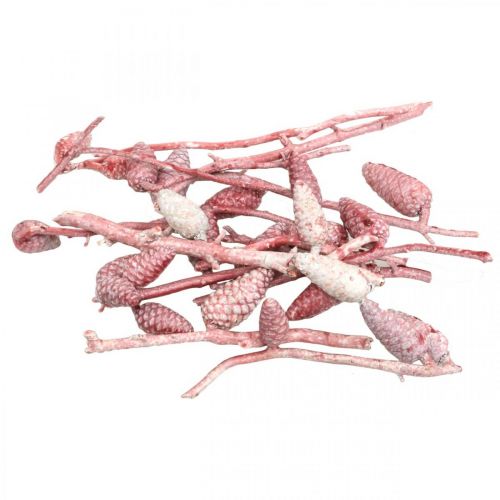 Floristik24 Cone marítimo em galho rosa/branco encerado 400g