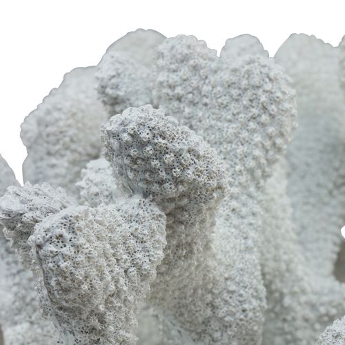 Floristik24 Decoração marítima coral poliresina branca 38cm × 44cm × 27cm