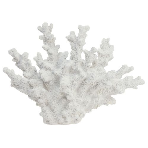 Floristik24 Decoração marítima coral poliresina branca 18,5×26cm