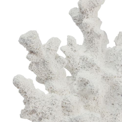 Floristik24 Decoração marítima coral poliresina branca 18,5×26cm