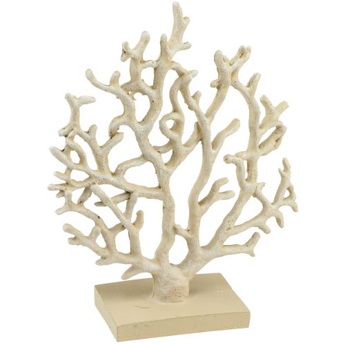 Floristik24 Decoração de mesa marítima coral bege decorativo coral poliresina Alt.20cm