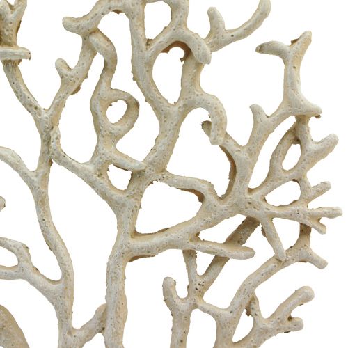 Floristik24 Decoração de mesa marítima coral bege decorativo coral poliresina Alt.20cm