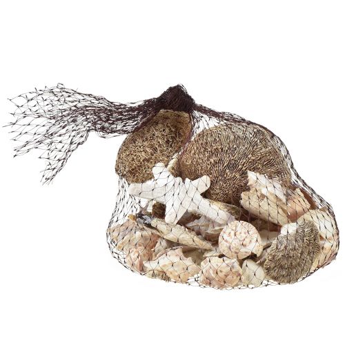 Itens Decoração de mesa marítima decoração dispersa decoração natural branco natural 400g