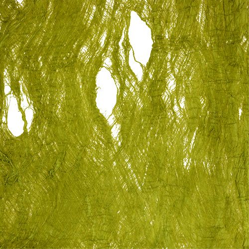 Floristik24 Casca de amoreira verde maçã 250g