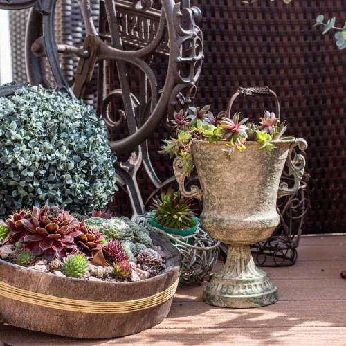 Floristik24 Taça de metal verde musgo bege Ø16cm A24cm