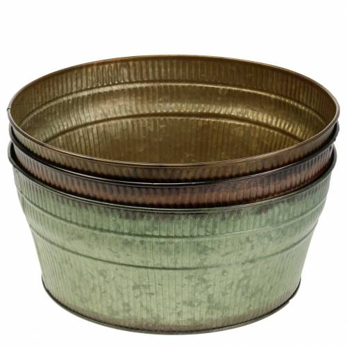 Floristik24 Vasilha para plantador laranja / marrom / verde zinco Ø27cm Alt.12cm conjunto de 3