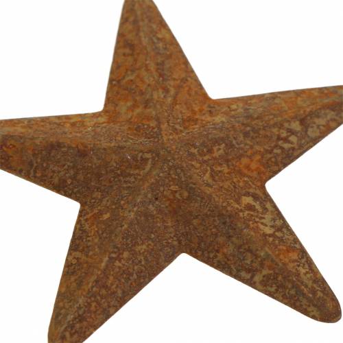 Floristik24 Estrela patina metal 5cm 24 un