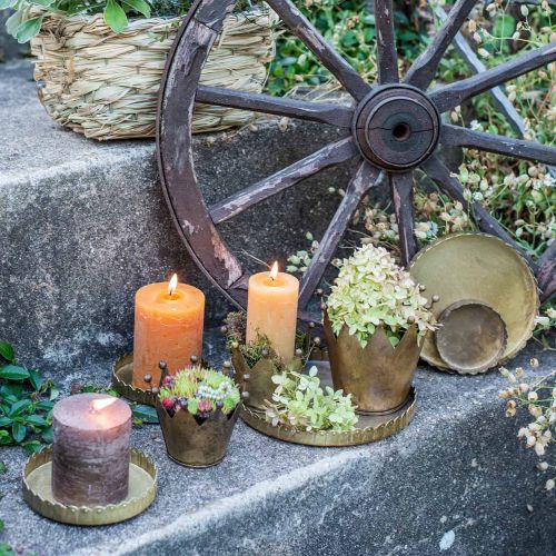 Floristik24 Pratos de metal para decoração, decoração de mesa, bandeja de velas redonda dourado efeito envelhecido Ø7,5/10/12/15/18cm A2cm conjunto de 5