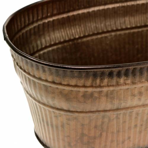 Floristik24 Taça para plantas oval laranja, castanho, verde 26×13,5cm A11cm conjunto de 3